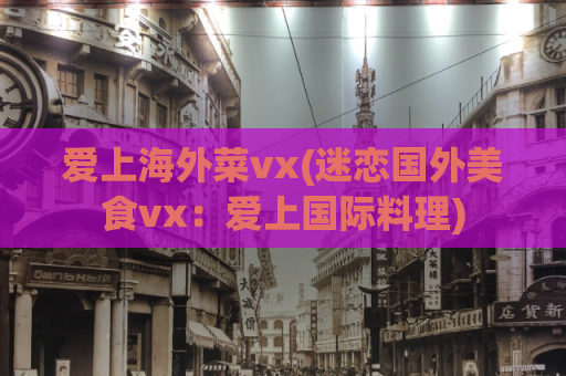 爱上海外菜vx(迷恋国外美食vx：爱上国际料理)