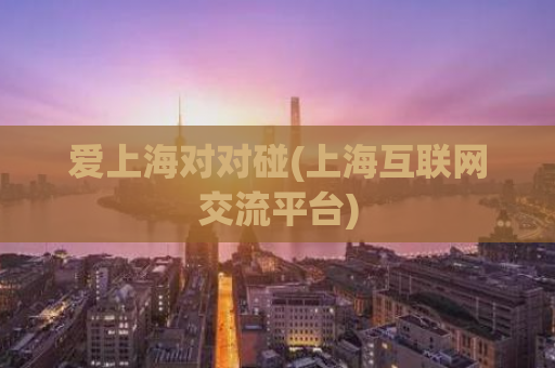 爱上海对对碰(上海互联网交流平台)